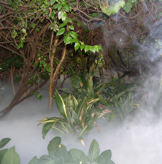 jungle cryo  fog effect