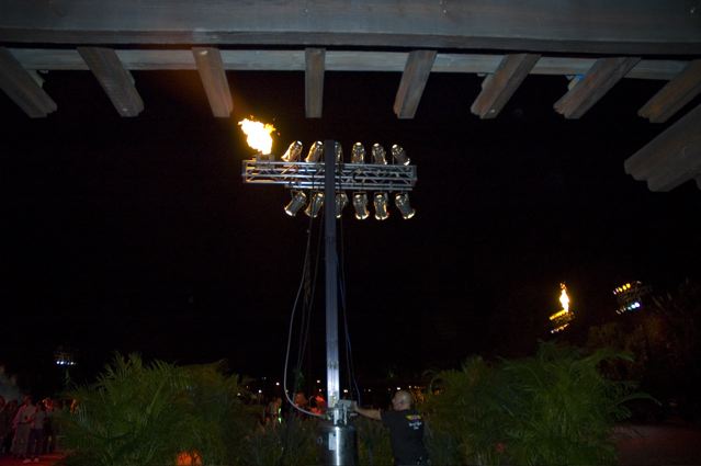 firefly on a lighting rig at a theme park