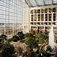 Gaylord national resort
