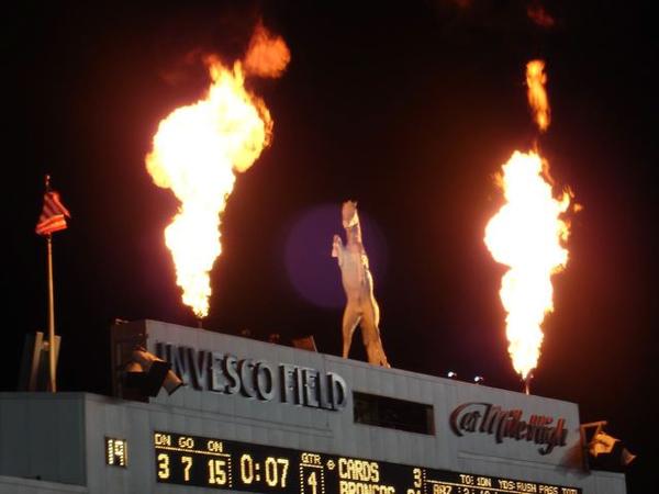 30 ft drangonfly flames at stadium