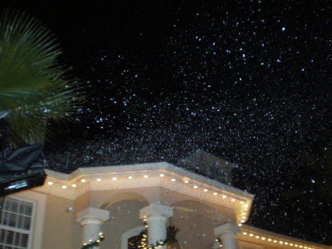 snow event with falling snow