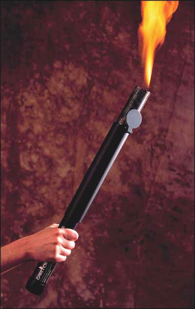 torch2.jpg