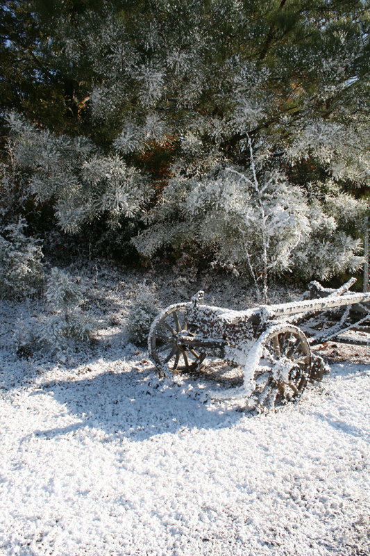 snow flocking