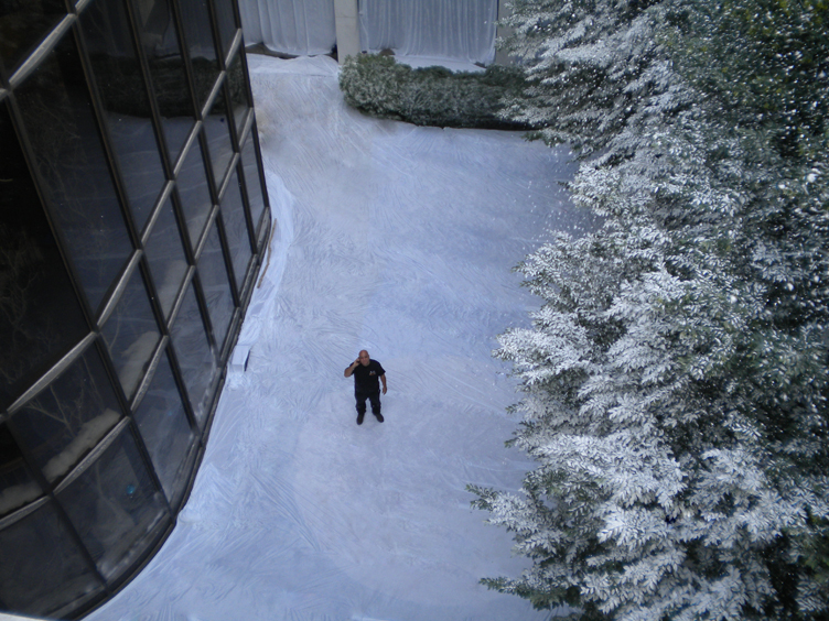 FAKE SNOW FLOCKING