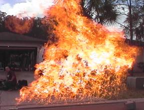 Flame Bar Short