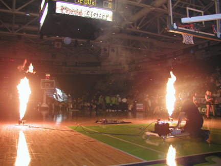 Florida Flames