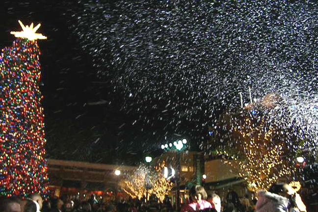 Snowfall winter wonderland scene