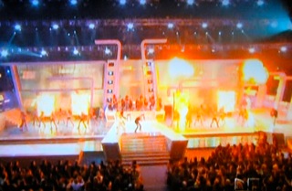 30 foot propane special effects flames