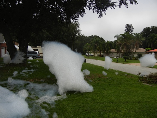 foam