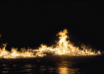 firefly  water effect