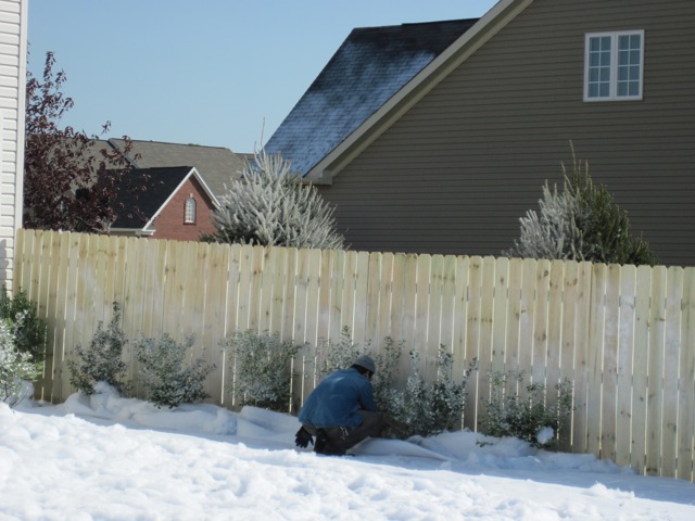 snow decor ground cover