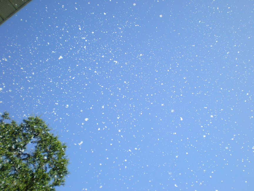 snow in the box volume