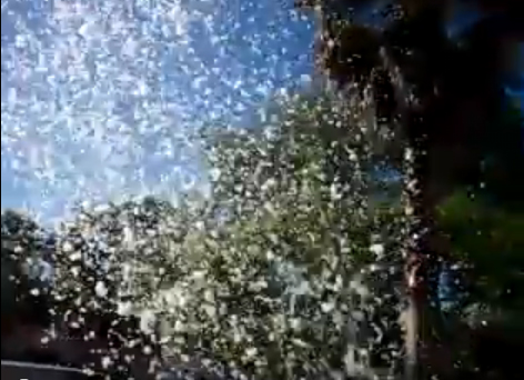 fake snow  blizzard cannon snow machine output