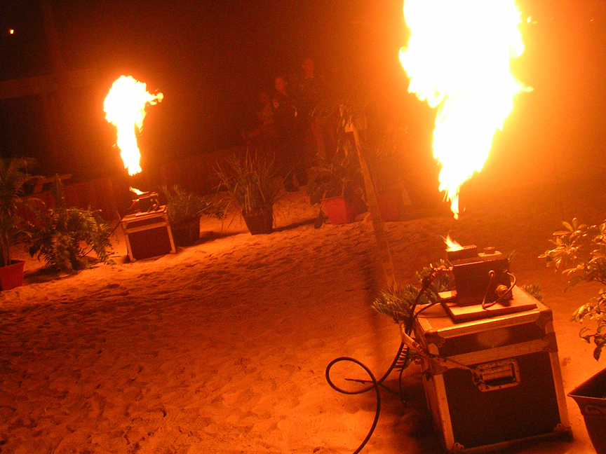 firefly propane flame effects