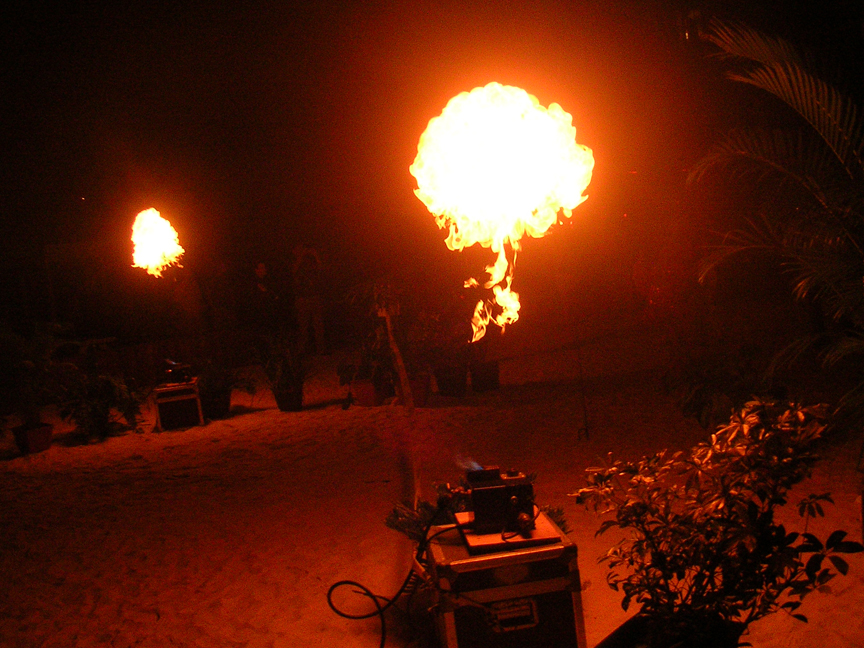 firefly propane cannon