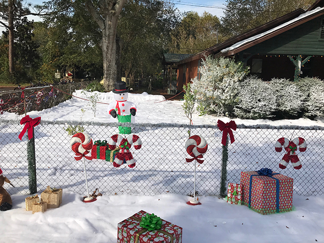 snow decor  snow on the ground and flocking services