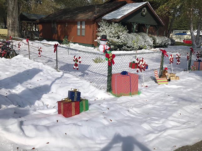 snow decor  snow on the ground and flocking services