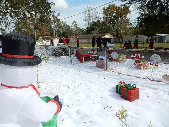 snow decor  snow on the ground and flocking services