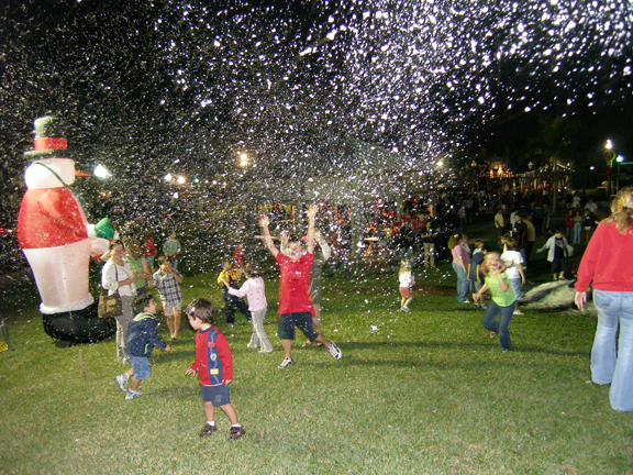 Fake Snow  Falling