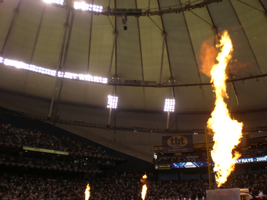 Tampa Rays Major League Baseball drangonflys   Flames
