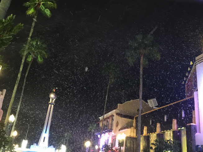 10 T 1500 snowmasters stroms on theme park roof top