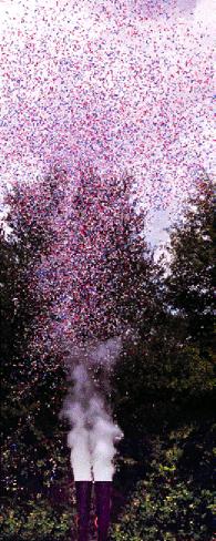 confetti gerbs