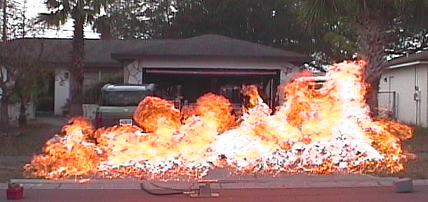 propane drangonfly flame bar