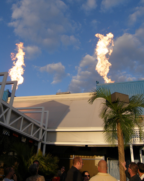 35 foot flames witha dragonfly proane flame unit drandonflys