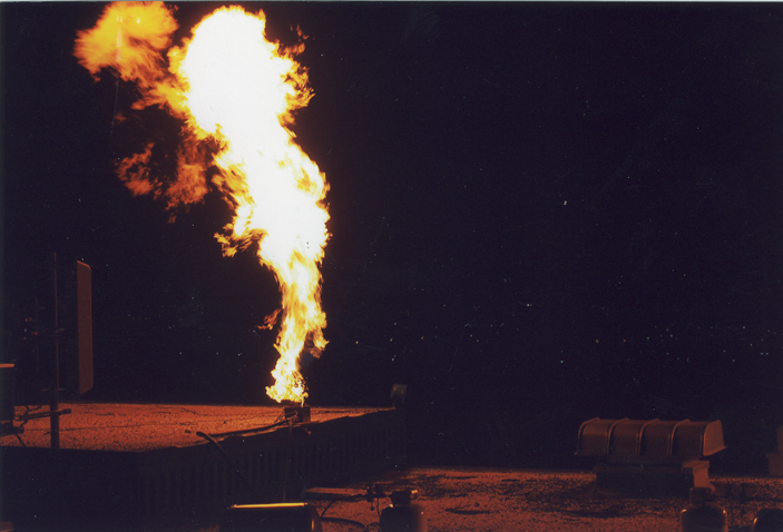 Drandonfly propane flame systen setup