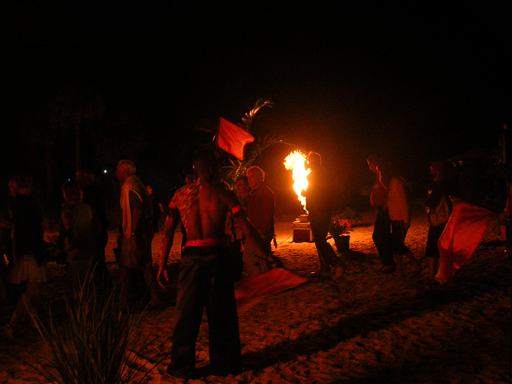 fireflys propane flameson beach