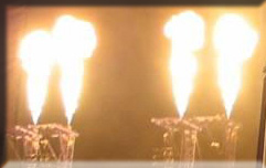 Special Effects Propane Flame