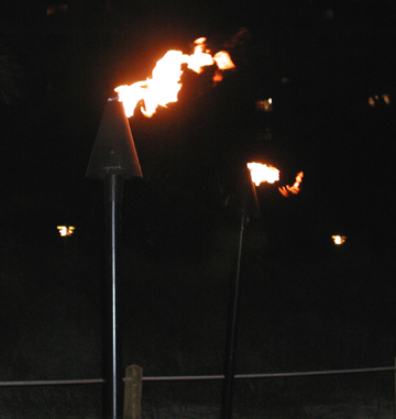 propane tiki torch