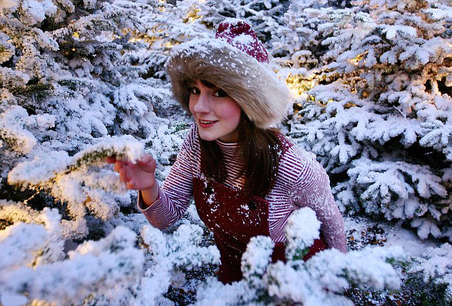 snowcel ground snow